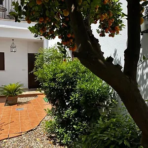 Acogedor Junto A Plaza De San Agustin Apartamento